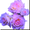 Букет Три розы
Подарок от Волшебств0