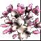 /docs/subject/oruzhie/cvety-i-bukety/buket-magnolij-21/