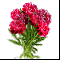 Букет Роскошных цветов
Подарок от Tissot