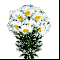 Букет Ясных цветов
Подарок от Tissot