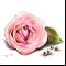 сувенир-Роза с жемчугом-
Подарок от Испанчик